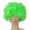 Colorful Clown Costume Wig - Multicolored Clown Wig Costume Accessories for Kids and Adults - Green
