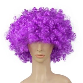 Colorful Clown Costume Wig - Multicolored Clown Wig Costume Accessories for Kids and Adults - Purple