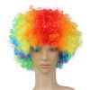 Colorful Clown Costume Wig - Multicolored Clown Wig Costume Accessories for Kids and Adults - Coloured
