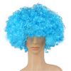 Colorful Clown Costume Wig - Multicolored Clown Wig Costume Accessories for Kids and Adults - Light blue