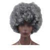 Grey Short Afro Curly Hair Wigs Women Large Fluffy Synthetic Hair Short Full Wig for Party and Daily - Default