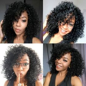 Women Fashion African Black Short Curly Wavy Hair Heat Resistant Wig Hairpiece - Black