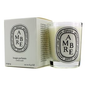 DIPTYQUE - Scented Candle - Ambre (Amber) 190g/6.5oz - As Picture