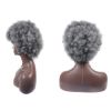 Grey Short Afro Curly Hair Wigs Women Large Fluffy Synthetic Hair Short Full Wig for Party and Daily - Default