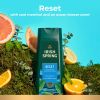 Irish Spring Body Wash, Reset, Cool Menthol & Ocean Breeze Scent, 20 Ounce Bottle - Irish Spring