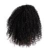 Women Synthetic Hair Afro Curly Ponytail Puff Short Wig Extension Hairpiece - Black