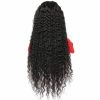 HD Human Hair waterwave 10 14 16 20 30 Inch Waterwave Curly Half Transparent Glueless 4*4 Frontal 4x4 Lace Front Closure Wig - 12 Inches (303mm)