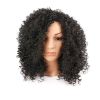 Women Fashion African Black Short Curly Wavy Hair Heat Resistant Wig Hairpiece - Black